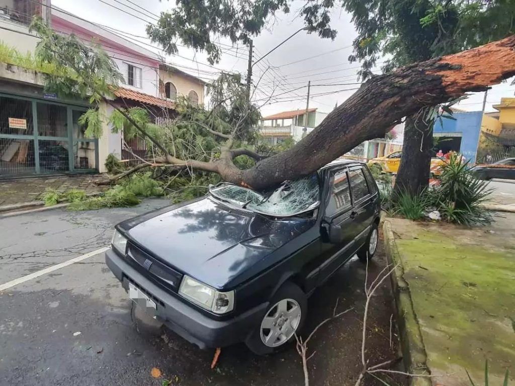 Temporal derruba árvore em cima carro onde estava o motorista na